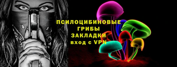 ешки Белокуриха