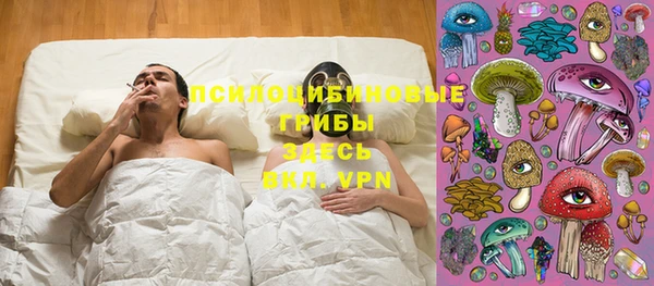 ешки Белокуриха