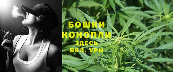ешки Белокуриха