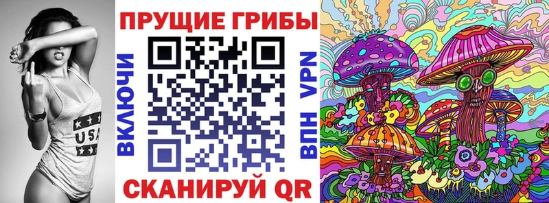 omg ONION  купить закладку  Заринск  Галлюциногенные грибы Psilocybine cubensis 